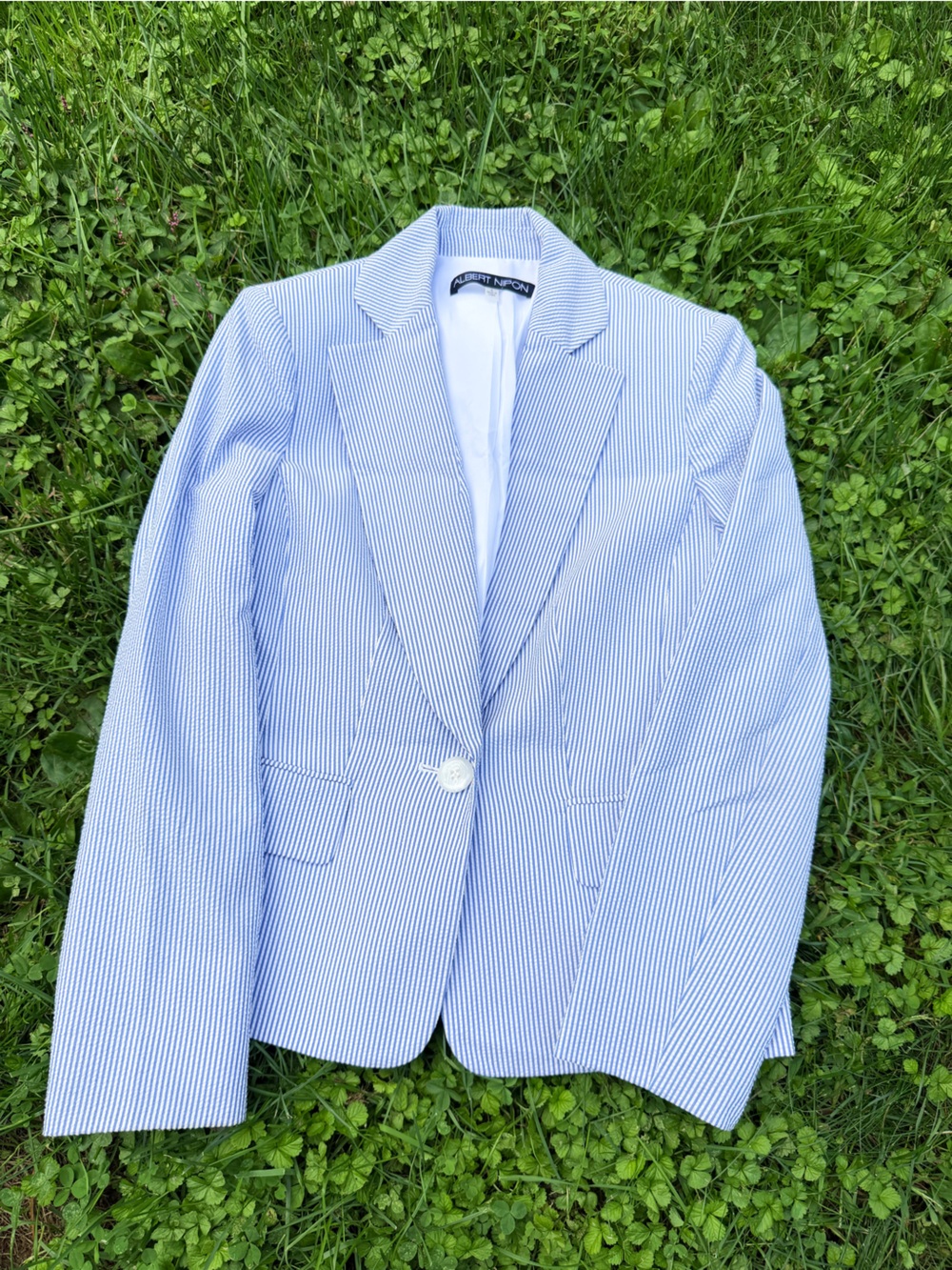 Albert Nipon Blue and White Striped suit set